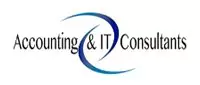 Accounting & IT Consultants